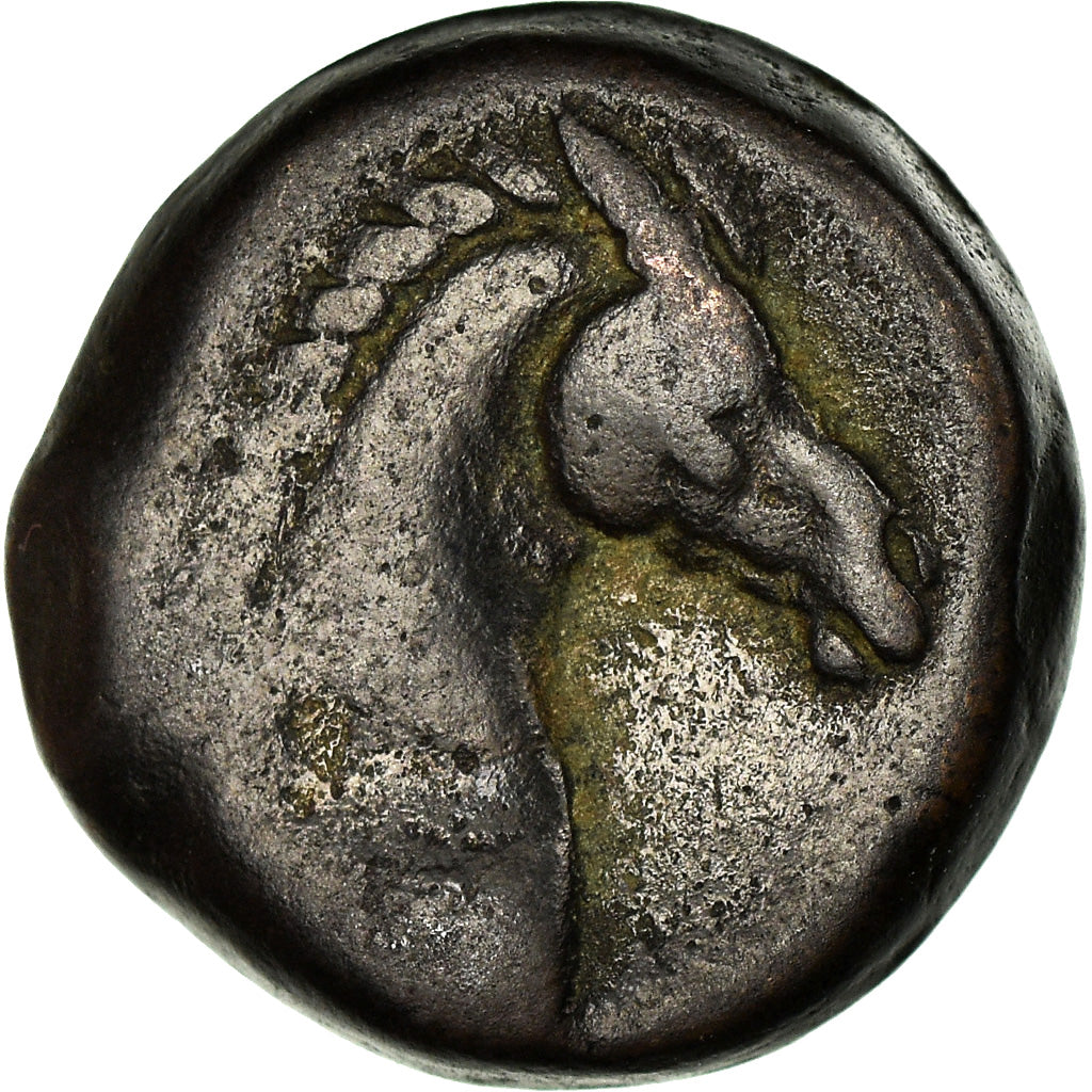 Coin, Zeugitana, Shekel, 300-264 BC, Carthage, VF(30-35), Copper