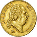 Moneda, Francia, Louis XVIII, Louis XVIII, 40 Francs, 1818, Lille, MBC, Oro