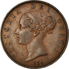 Coin, Great Britain, Victoria, 1/2 Penny, 1855, EF(40-45), Copper, KM:726