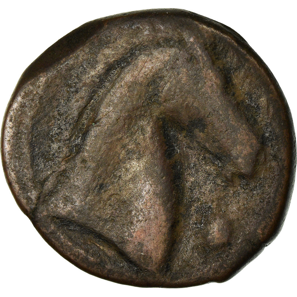 Coin, Zeugitana, Shekel, 300-264 BC, Carthage, VF(20-25), Copper