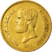 Coin, Brazil, Pedro II, 20000 Reis, 1851, EF(40-45), Gold, KM:463