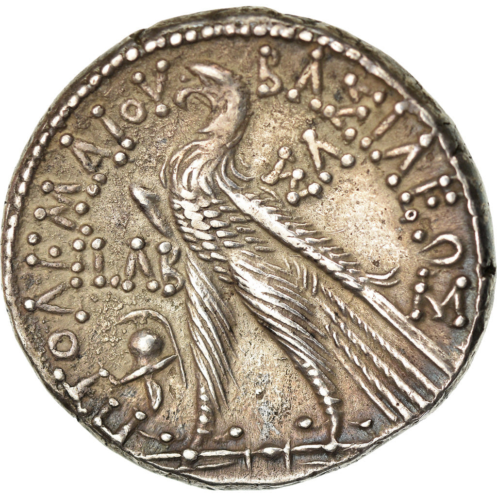 Moeda, Egito, Ptolemaic Kingdom, Ptolemy VIII, Tetradrachm, 139-138 BC, Salamis