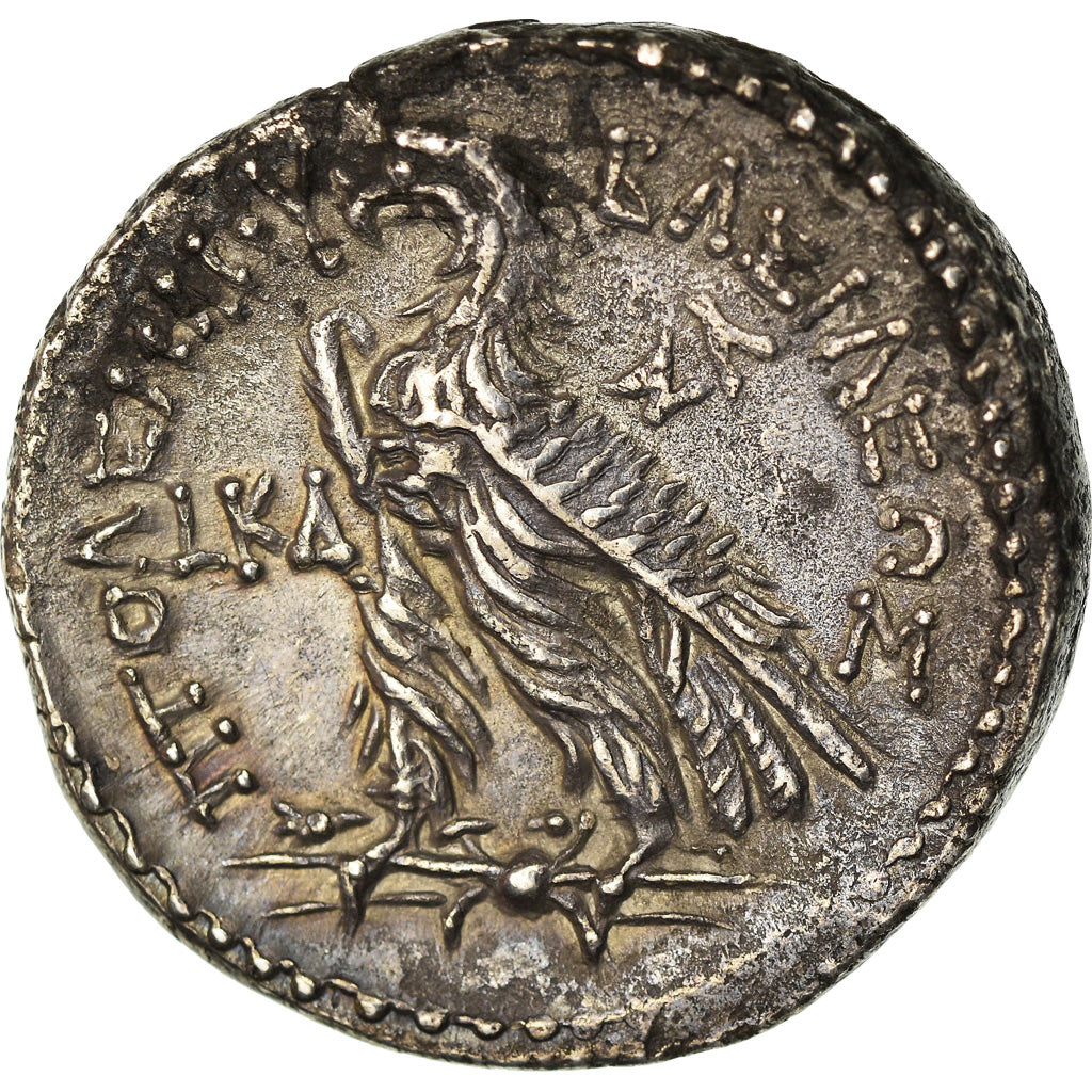 Coin, Egypt, Ptolemaic Kingdom, Ptolemy VI, Tetradrachm, 182-181 BC, Salamis