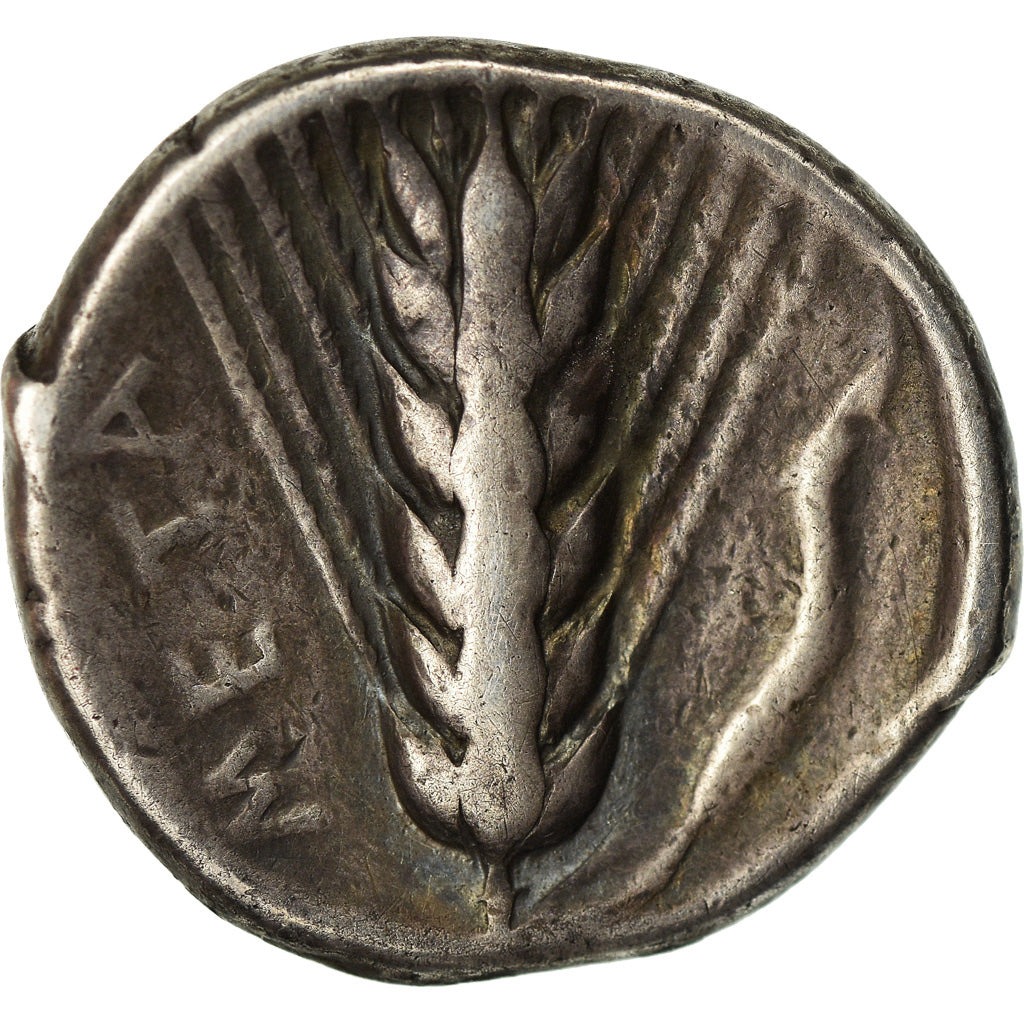 Moneta, Lucania, Metapontion, Didrachm, BB, Argento
