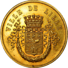 Francia, medaglia, French Third Republic, Ville de Lille, Cercle Horticole du