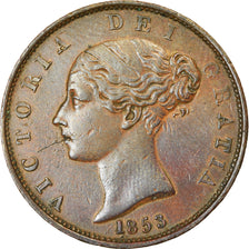 Coin, Great Britain, Victoria, 1/2 Penny, 1853, EF(40-45), Copper, KM:726