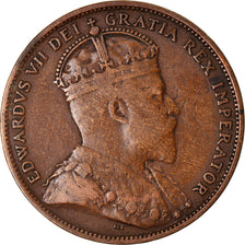 Coin, NEWFOUNDLAND, Large Cent, 1907, Royal Canadian Mint, VF(30-35), Bronze