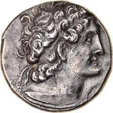 Moneda, Egypt, Ptolemaic Kingdom, Ptolemy X, Tetradrachm, 102 BC, Paphos, MBC+