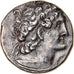 Moneda, Egypt, Ptolemaic Kingdom, Ptolemy X, Tetradrachm, 102 BC, Paphos, MBC+
