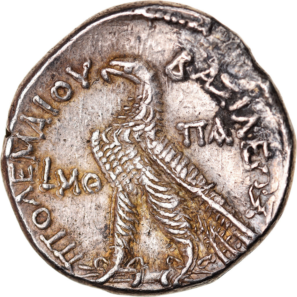 Coin, Egypt, Ptolemaic Kingdom, Ptolemy VIII, Tetradrachm, 122-121 BC, Paphos