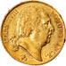 Coin, France, Louis XVIII, 20 Francs, 1817, Paris, AU(50-53), Gold, KM:712.1