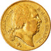 Coin, France, Louis XVIII, Louis XVIII, 20 Francs, 1819, Paris, EF(40-45), Gold