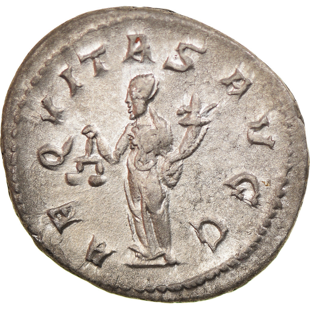 Monnaie, Philippe I l'Arabe, Antoninien, 246, Roma, SUP, Billon, RIC:27b