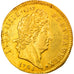 Moneda, Francia, Louis XIV, Louis d'or aux 8 L et aux insignes, Louis d'Or