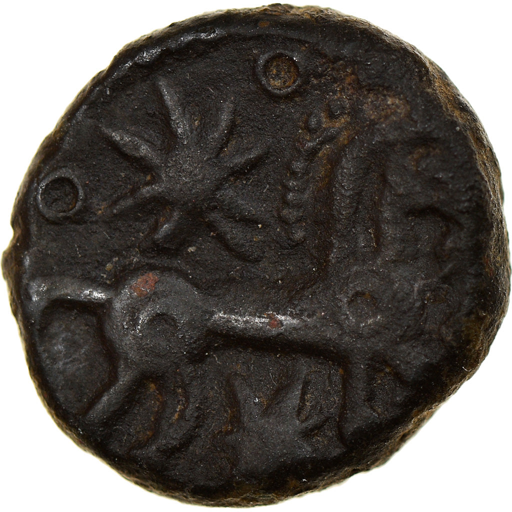 Monnaie, Bellovaques, Bronze 