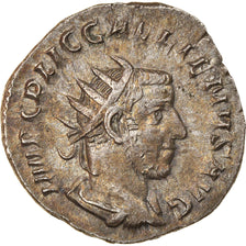 Coin, Gallienus, Antoninianus, 253-254, Roma, AU(50-53), Billon, RIC:155