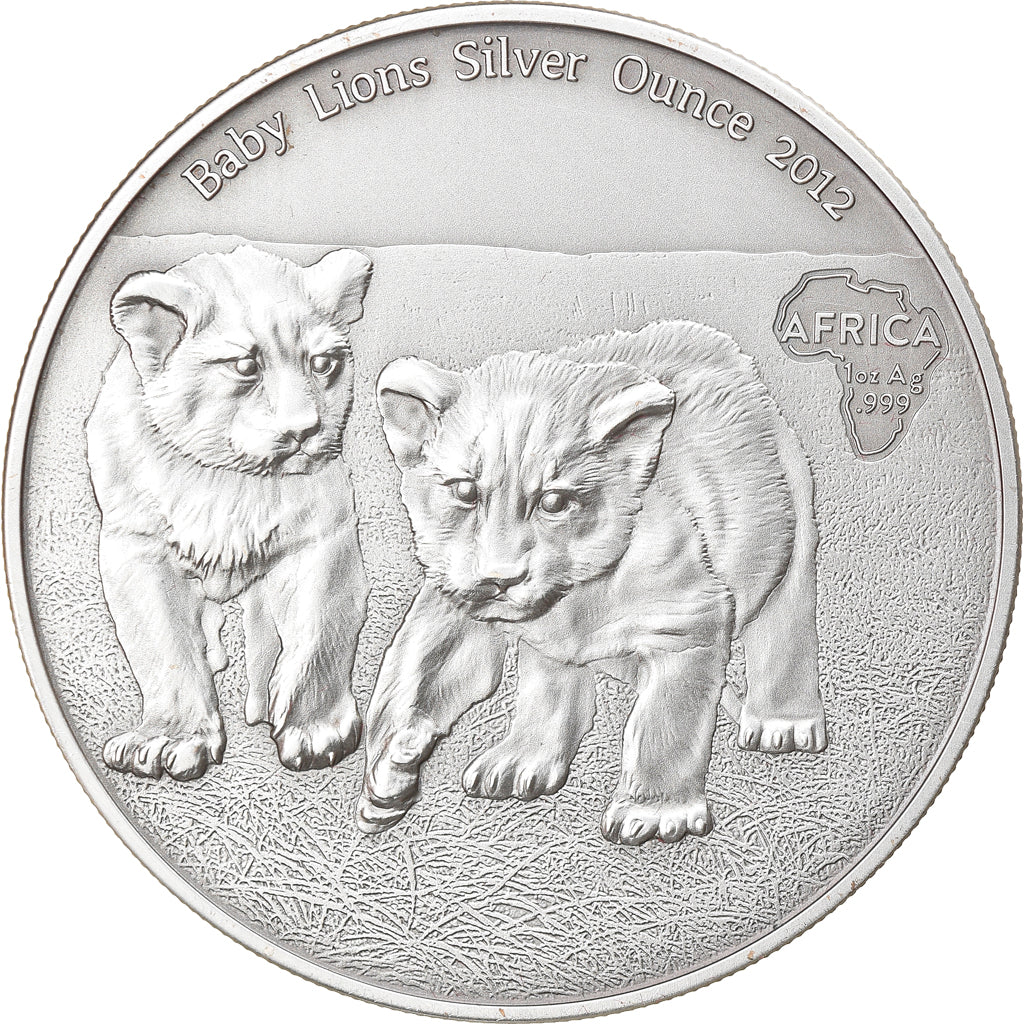 Moneta, Repubblica del Congo, Baby Lions, 1000 Francs CFA, 1 Silver Oz, 2012