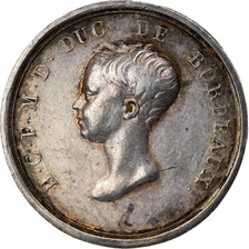 Francia, medaglia, Henri V, Duc de Bordeaux, BB+, Argento