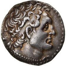 Moneta, Egipt, Ptolemaic Kingdom, Ptolemy VI, Tetradrachm, 163-162 BC, Salamis