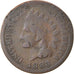 Coin, United States, Indian Head Cent, Cent, 1883, U.S. Mint, Philadelphia