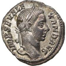 Coin, Severus Alexander, Denarius, 229, Roma, MS(60-62), Silver, RIC:91