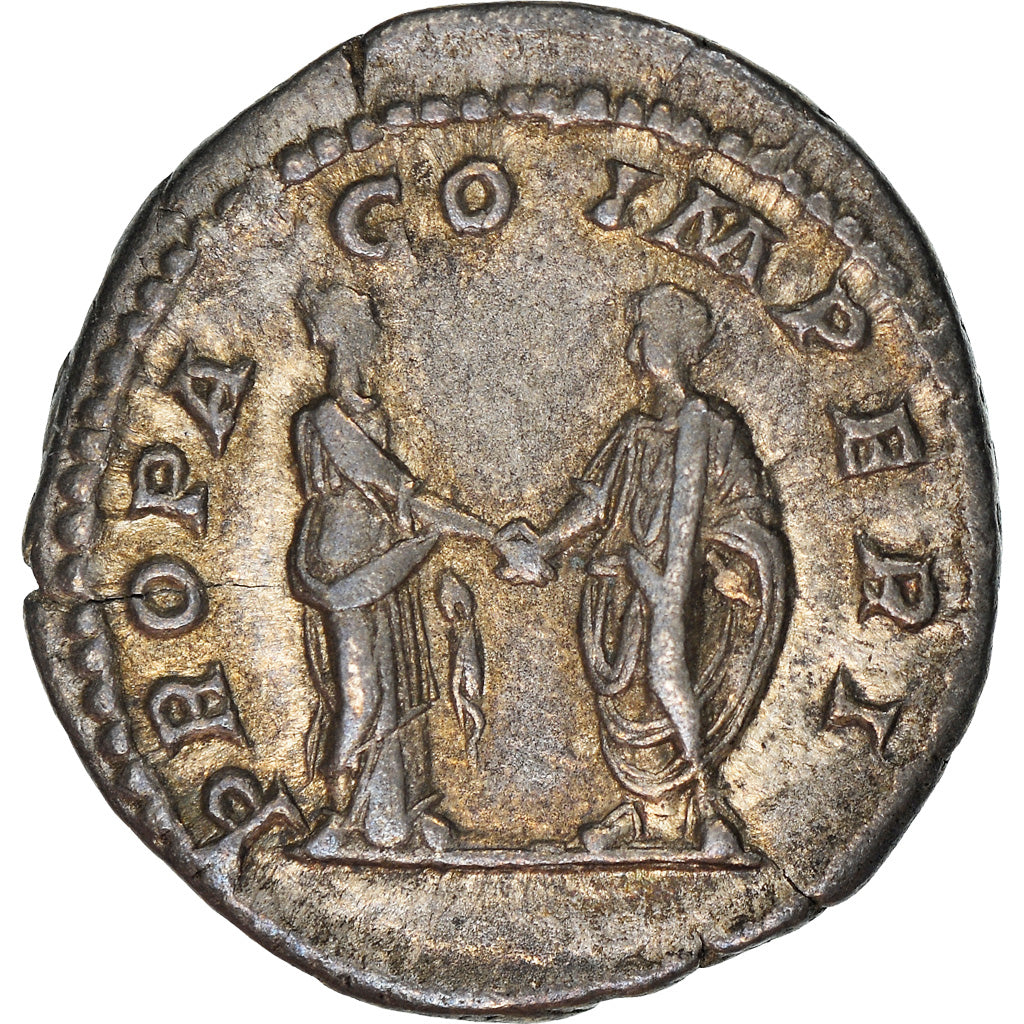 Coin, Plautilla, Denarius, 202, Roma, AU(50-53), Silver, RIC:362