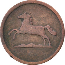 Moneta, Stati tedeschi, BRUNSWICK-WOLFENBUTTEL, Wilhelm, Pfennig, 1855, MB+