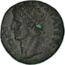 Coin, Augustus, As, 15-16, Roma, EF(40-45), Bronze, RIC:71