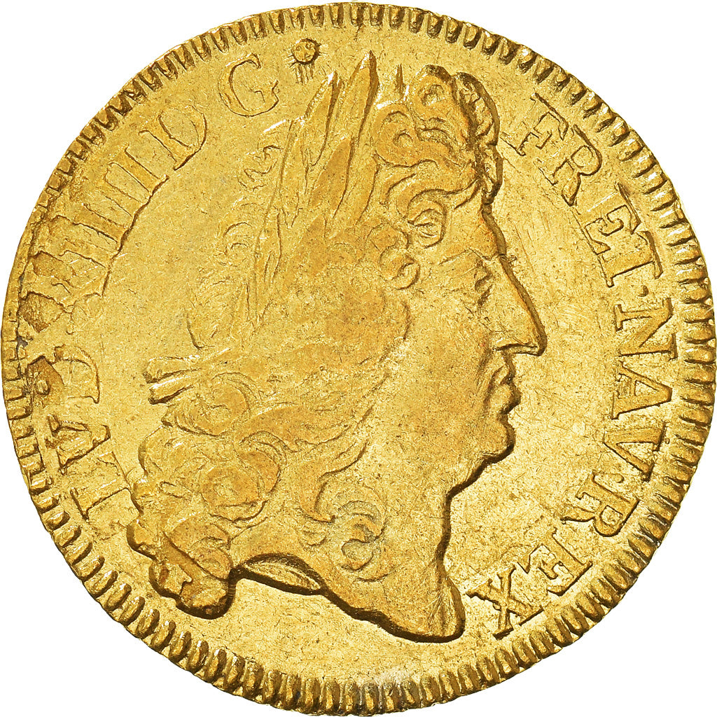 Coin, France, Louis XIV, Louis d'or à l'écu, Louis d'Or, 1690, Amiens