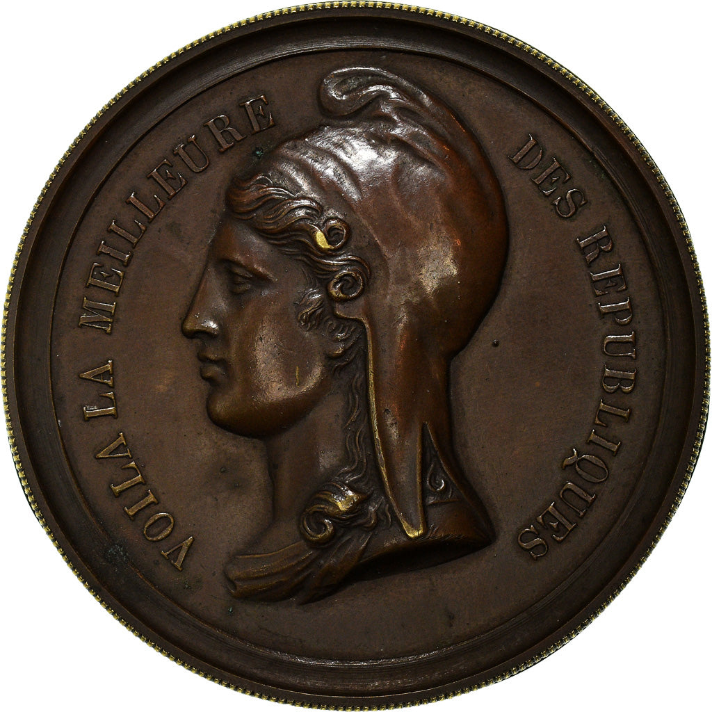France, Médaille, Royal, Boîte séditieuse, Maison d'Orléans, (1850)