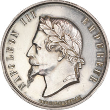 Frankreich, Medaille, Napoléon III, Société d'horticulture de Clermont