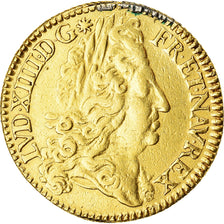 Munten, Frankrijk, Louis XIV, Double louis d'or à l'écu, 2 Louis D'or, 1690