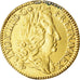 Munten, Frankrijk, Louis XIV, Double louis d'or à l'écu, 2 Louis D'or, 1690