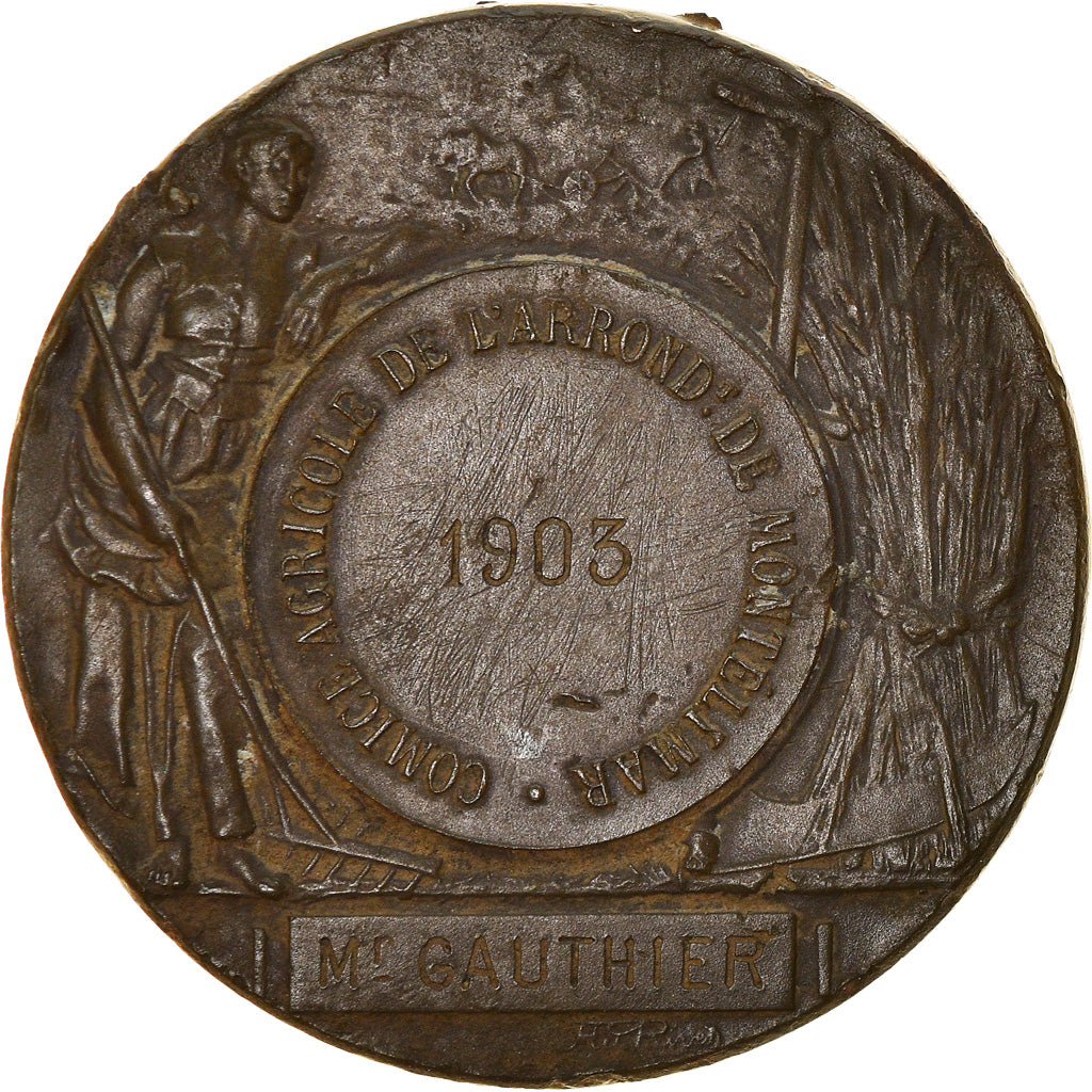 France, Medal, Agriculture and Horticulture, Comice Agricole de Montélimar