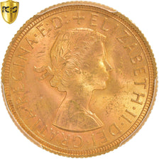 Münze, Großbritannien, Elizabeth II, Sovereign, 1958, PCGS, MS64, UNZ+, Gold