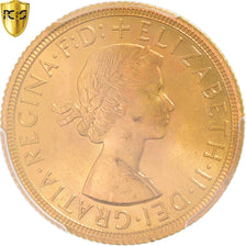 Moneda, Gran Bretaña, Elizabeth II, Sovereign, 1963, PCGS, MS65, FDC, Oro