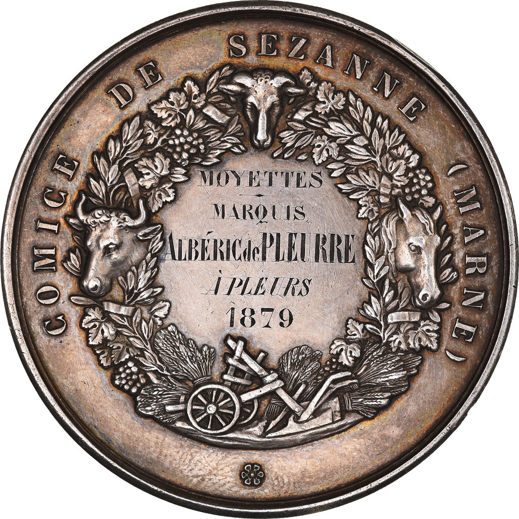 France, Medal, Olivier de Serres, Comice Agricole de Sézanne, 1879, De