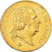 Moneta, Francja, Louis XVIII, 40 Francs, 1818, Lille, AU(55-58), Złoto
