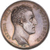 Gran Bretaña, medalla, Duke of Wellington, Landing in Spain, 1808, Mudie /