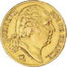 Munten, Frankrijk, Louis XVIII, 20 Francs, 1824, Paris, ZF+, Goud, KM:712.1