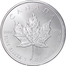 Coin, Canada, Elizabeth II, Mapple Leaf, 1 Oz, 5 Dollars, 2021, Royal Canadian