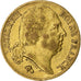 Moneda, Francia, Louis XVIII, 20 Francs, 1817, Paris, MBC, Oro, KM:712.1