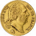 Moneta, Francia, Louis XVIII, 20 Francs, 1824, Paris, BB, Oro, KM:712.1