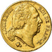 Moneda, Francia, Louis XVIII, Louis XVIII, 20 Francs, 1819, Paris, MBC, Oro