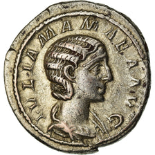 Coin, Julia Mamaea, Denarius, 222, Roma, EF(40-45), Silver, RIC:343