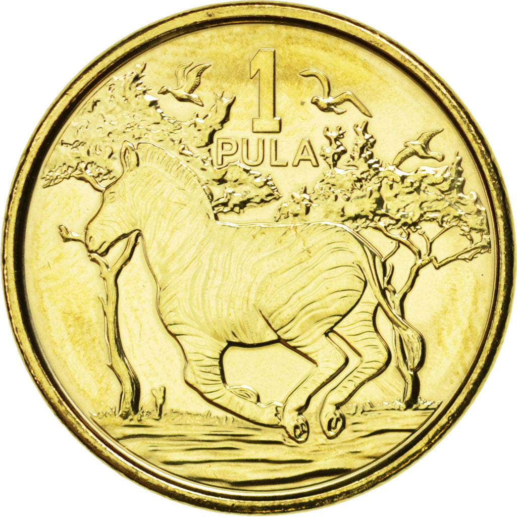Botswana, 1 Pula, 2013, SPL, Nichel-ottone, KM:New