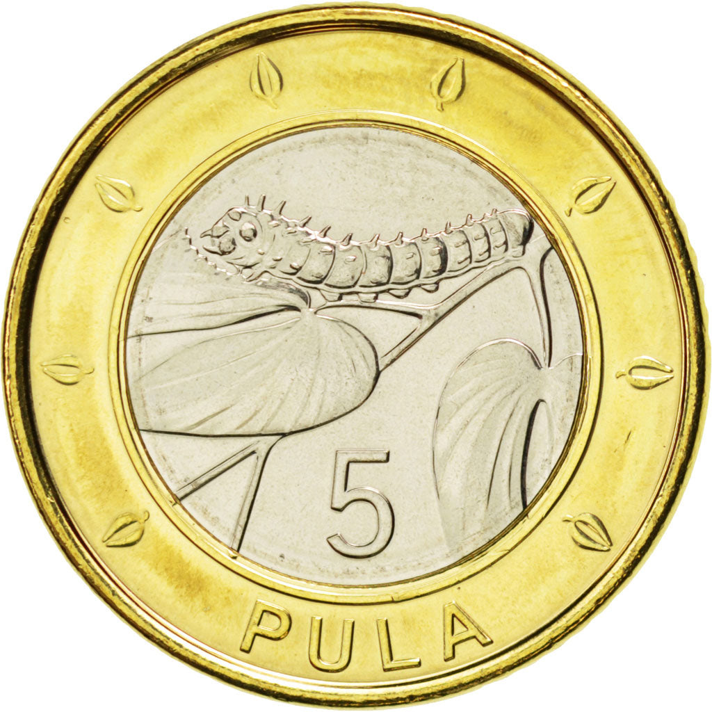 Botswana, République, 5 Pula 2013, KM New