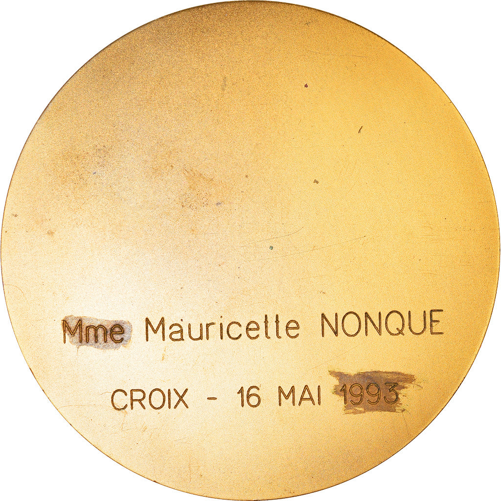 France, Médaille, Don du Sang, Croix, Nord, 1993, Pichard, SPL, Bronze