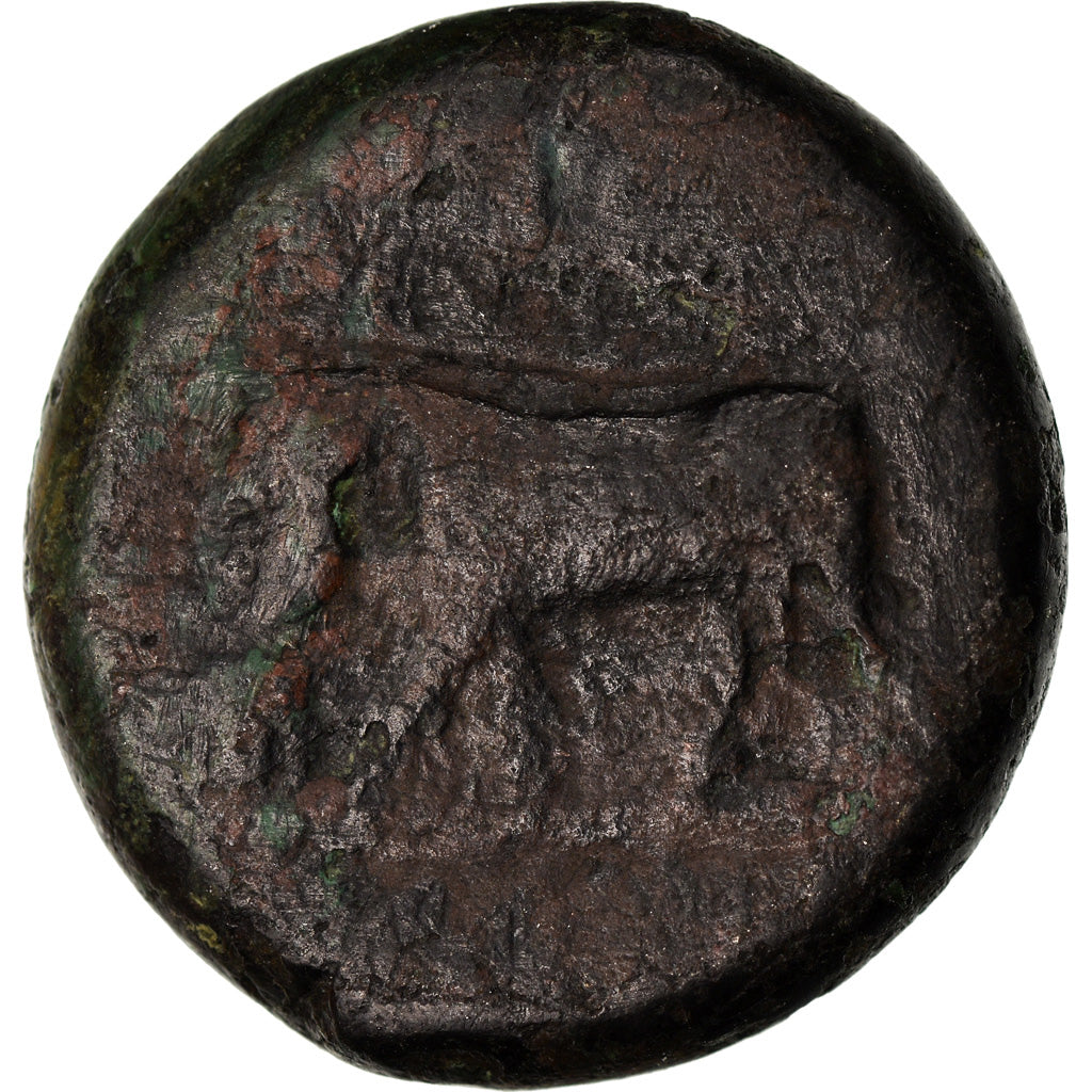 Moneta, Sycylia, Tauromenium, Hemilitron, 339-336 BC, VF(20-25), Bronze
