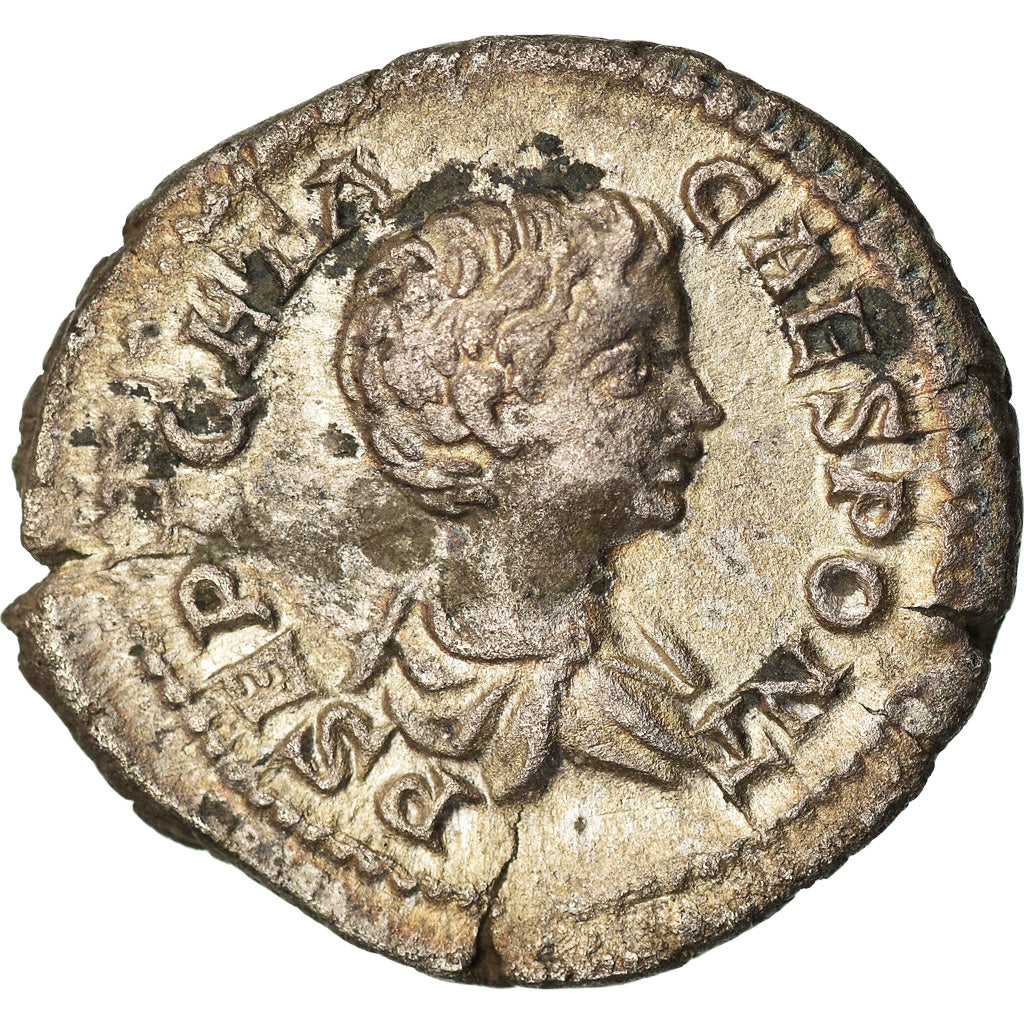 Moneda, Geta, Denarius, 203, Rome, MBC, Plata, RIC:9a